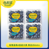 怡颗莓Driscoll's 秘鲁蓝莓Jumbo超大果20mm+4盒125g/盒 水果源头直发