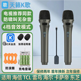 天籁K歌MM-8无线麦克风家用电视k歌话筒适用海信东芝tcl东芝雷鸟vidda卡萨帝海尔问界阿维塔车载麦克风vm7 MM-5DMAX+双话筒自带混响