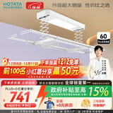 好太太（Hotata） 电动晾衣架智能自动升降晒被阳台晾衣架室外衣服架伸缩晾衣杆 【46孔大晒量】D11-Z白色