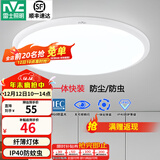 雷士（NVC）卧室吸顶灯阳台灯简约超薄奶油风IP40防蚊虫led照明灯具灯饰-月白 24W 1643lm 暖白光丨一体快装IP40
