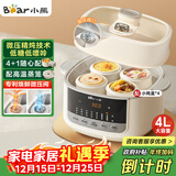 小熊（Bear）电炖锅 炖盅 隔水炖锅炖汤盅煲汤锅 燕窝炖盅婴儿煮粥 电炖盅4.1L家用3-4人微压电炖锅DDZ-J25G2