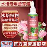 快活林水培植物营养液富贵竹水仙花养根壮杆抗逆水培专用型花肥料110ml