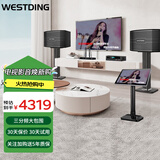 威斯汀（WESTDING）118家庭ktv音响套装点歌机一体KTV唱歌全套设备卡拉OK影院家用智能语音点唱音箱 V10:【五单元】进阶款-唱歌不费力