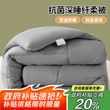 艾薇 单人被芯冬季加厚 秋冬被子宿舍冬被棉被4斤150*200cm【灰色】