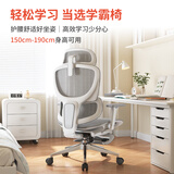 达宝利青少年学习椅初高中学生写字椅 人体工学椅学习久坐不累椅子宿舍 网布灰色含脚托