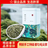 贵天下贵州特级都匀毛尖绿茶 2026明前高山云雾栗香型茶50g尝鲜装