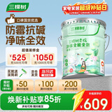 三棵树漆（SKSHU）乳胶漆室内底漆云绘净味全能全效底漆油漆涂料墙面漆 15L