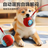 HELLOJOY狗狗玩具耐咬球自动逗狗神器自嗨解闷宠物电动小狗智能弹力遛狗球