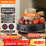 苏泊尔（SUPOR）迷你电陶炉 煮茶器煮茶炉煮茶壶 养生围炉煮茶泡茶办公家用不挑器具SW-DTL05