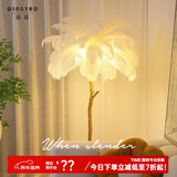 清瑶现代轻奢鸵鸟羽毛装饰落地灯高级设计师客厅沙发旁卧室床头氛围灯 46根白色羽毛【60*120CM】三色
