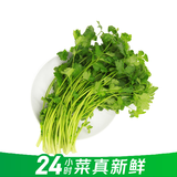 【24小时菜】香菜100g  