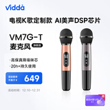 Vidda  海信  麦克风 VM7G-T 海信电视 Vidda电视定制 天籁K歌 无线麦克风 家庭KTV 双支套装