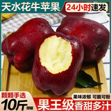 京橙美锦甘肃天水花牛苹果新鲜水果当季香甜多汁蛇红果现摘大果平安圣诞果 10斤特大果(果径85-90mm)果王级，净重8.5斤+ 新鲜【精品花牛苹果】