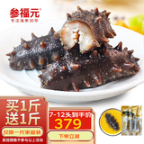 参福元  长岛 冷冻鲜食即食海参 刺参 精选 二斤礼盒装 12-24头/2袋