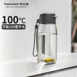 特百惠（Tupperware）乐趣550ML塑料杯夏季男女学生便携运动水杯子大容量双饮口 都市灰