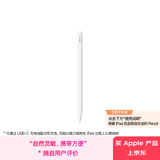 Apple/苹果 Pencil(USB-C) 磁吸触控笔手写笔苹果笔电容笔ipad笔 适用iPad 11/mini/Pro/Air