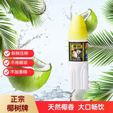 椰树 椰汁 卫星瓶 250ml*1瓶 单瓶装 植物蛋白饮料 正宗海南特产