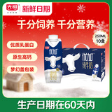 光明【新鲜日期】优加纯牛奶250ml*10盒100%生牛乳梦幻盖礼盒装