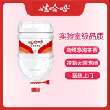 娃哈哈纯净水14.8L*1桶 大桶水一次性桶装水（新老包装随机发）