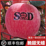 灵宝苹果河南灵宝寺河山SOD苹果富硒红富士脆甜冰糖心水果年货礼盒 80mm-85mm（15个装）