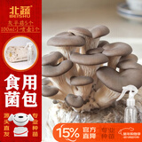 北蔬蘑菇种植包灰平菇家种可食用菌包 小号灰平菇菌包5个源头直发包邮