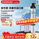 爱惠浦（Everpure） 厨房餐饮自来水过滤器 饮料茶饮现调  0耗电0废水 直饮净水器Freshdrink1-MC2