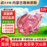 福羊天赐内蒙古羊肉羊排羊蝎子羊腿生鲜年货礼盒 锡林郭勒 真散养 真原切 5斤【尝鲜装】羔羊后腿 切块（肉质紧实）