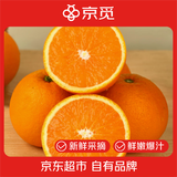 京觅秭归九月红果冻橙 净重4斤单果150g+爆汁化渣 当季现摘源头直发