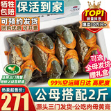 首鲜道【活蟹】三门鲜活青蟹中秋礼盒鲜活发货大螃蟹大红膏蟹母红膏蟹 公母搭配 3-5只 2斤净重【保活】