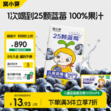 窝小芽蓝莓复合果汁125ml*4盒 100%水果饮料无添加饮品享儿童辅食谱