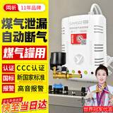 岡祈   JY-YJ-601厨房煤气罐液化石油气燃气报警器自动切断阀钢瓶机械手智能家居家用商用煤气泄漏感应探测器