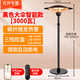圣帕（SEPAT） 伞形取暖器户外商用大面积全屋电热神器冬天电暖气室内外暖风机家用烤火炉 黑色升降大伞3000瓦【手机/遥控器】