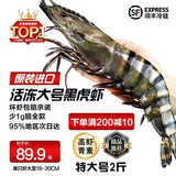 天纵良材进口巨型黑虎虾 活冻大虾老虎虾斑节虾对虾 海鲜礼盒 生鲜海虾 特大14-20只 1.8斤(净重)  18-20CM