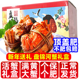 【活蟹】网兜蟹辽宁盘锦河蟹稻田河蟹礼盒螃蟹鲜活大闸蟹无绳净重 六月黄丨2.2-2.4两【2斤】8-9只