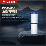 汉斯希尔（SYR）净水器PP棉滤芯内置双节三合一滤芯自来水过滤器净水卫士 PP棉滤芯