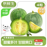 京鲜生 【年货】东北绿宝甜瓜 净重2.5斤 4粒装 单果300g+ 源头直发