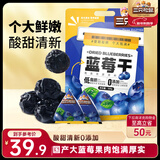 三只松鼠每日蓝莓干500g 蜜饯果干酸甜休闲零食下午茶孕妇儿童健康零食