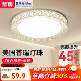 ARROW牌照明 吸顶灯led卧室灯客厅灯厨房阳台灯中山灯具 鸟巢-36W三色40cm适12平内