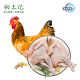 初土记无抗原种小公鸡2只 林下散养公鸡180天 走地鸡新鲜小公鸡 原产地 小公鸡2只（净重1.6-2.2斤）