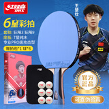 红双喜（DHS）乒乓球拍六星专业级单拍横拍6星兵乓球拍6星H6004单只
