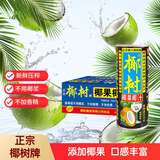 椰树椰果椰汁 250g*24罐 整箱装 植物蛋白饮料 海南特产 年货送礼年货