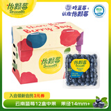 怡颗莓Driscoll's 新鲜云南蓝莓14mm+12盒原箱装 约125g/盒京东超市水果