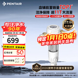 滨特尔（pentair）前置过滤器大通量家用全屋自来水管道40μm过滤器大流量水驱涡轮+反冲洗刮洗净水器 【上门安装】S160升级11T大通量
