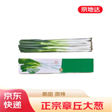 京地达正宗山东章丘大葱4.5斤礼盒 鲜叶蔬菜地方特产源头直发包邮