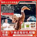 杨博士皖南整只老鸭2只 净重4斤 农家散养鸭子土鸭溪水河鸭肉源头直发