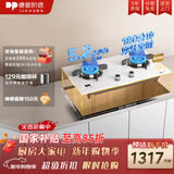 德普凯信（Depelec）2025年新品灶具D5纳米科技嵌入式童锁燃气灶双边定时5200W大火力脉冲式电子点火搪瓷加大锅支架 【纳米科技】【双边定时】D5皓月白【灶具】 液化气