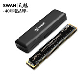 天鹅（SWAN）24孔复音口琴音位标注专业演奏教学推荐口琴C调黑色