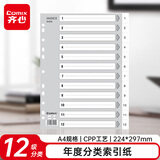 齐心(Comix) IX894 A4易分类分页PP年度索引纸 12页(1-12) 11孔隔页标签 办公用品