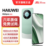 HAIUWEI手机1024G大内存5G双卡9800mAh快充大电池抗摔防水拍照 雅青 12GB运行+128GB内存 官方标配