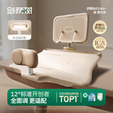 剑桥树12°可调节坐读写坐姿矫正器儿童写字姿势纠正小学生学习写作业防低头阅读书架去手影灯正姿台